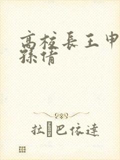 高校长王申赵振孙倩封面