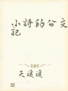 小诗的公交车日记