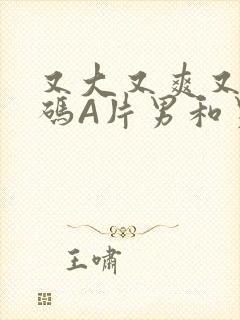 又大又爽又黄无码A片男和男封面