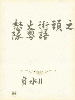 怒火街头之冲锋队粤语