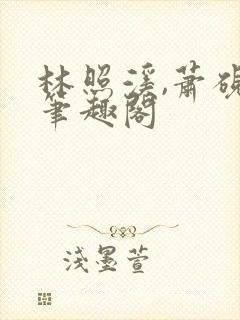 林照溪,萧砚川笔趣阁