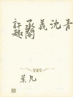 许承义沈青茵笔趣阁