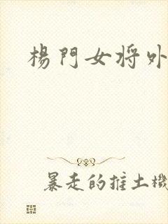 杨门女将外传封面