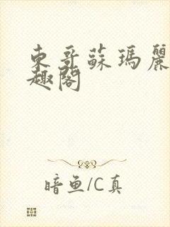 东哥苏玛丽 笔趣阁封面