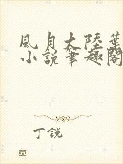 风月大陆叶天龙小说笔趣阁封面