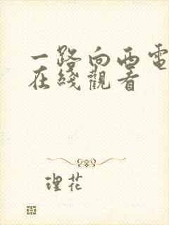 一路向西电影 在线观看封面