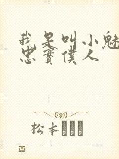 我是叫小魅魔的忠实仆人