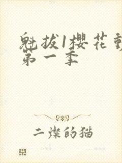 魁拔1樱花动漫第一季