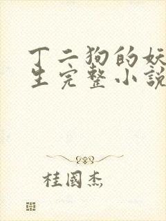 丁二狗的妖孽人生完整小说封面