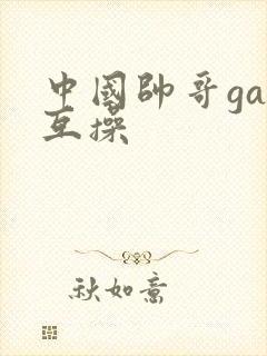 中国帅哥gay互操