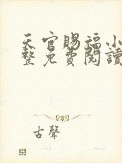 天官赐福小说完整免费阅读在线封面