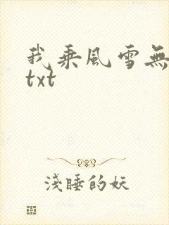 我乘风雪无删减txt封面