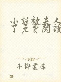 小说被夫人骗心了免费阅读