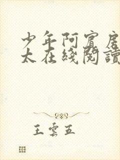 少年阿宾房东太太在线阅读封面