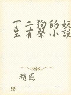 丁二狗的妖孽人生有声小说