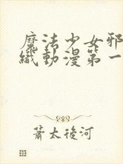 魔法少女邪恶组织动漫第一季