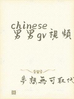 chinese男男gv视频封面