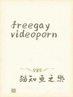 freegayvideoporn封面
