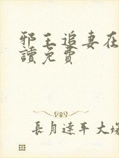 邪王追妻在线阅读免费