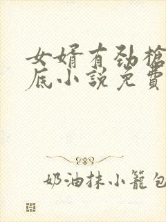 女婿有劲枪枪到底小说免费阅读