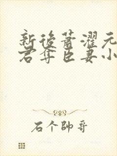 新后萧濯元朝露君夺臣妻小说笔趣阁封面