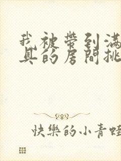 我被带到满是玩具的房间挑调游戏