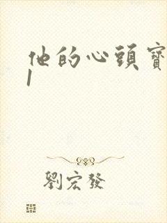 他的心头宝1v1封面