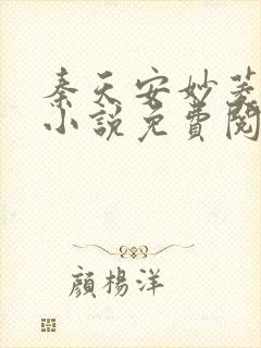 秦天安妙菱修仙小说免费阅读正版封面