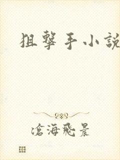 狙击手小说封面