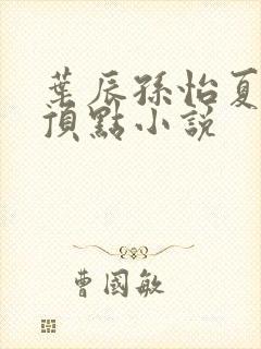 叶辰孙怡夏若雪顶点小说封面