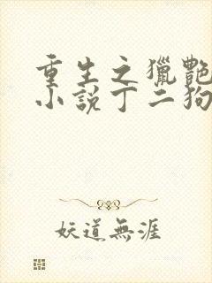 重生之猎艳人生小说丁二狗免费阅读