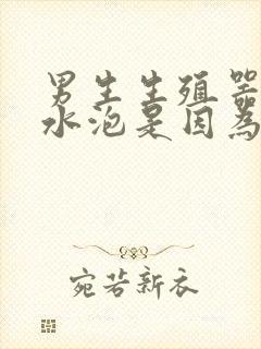 男生生殖器官长水泡是因为什么