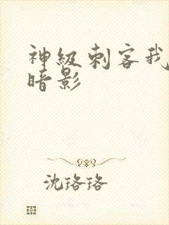 神级刺客我即为暗影