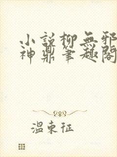 小说柳无邪吞天神鼎笔趣阁
