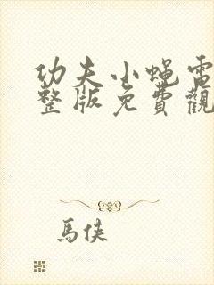 功夫小蝇电影完整版免费观看国语