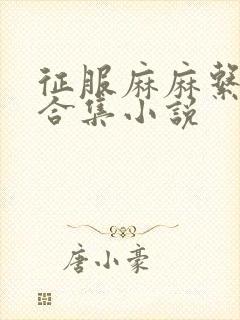 征服麻麻系列大合集小说