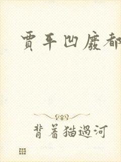 贾平凹废都封面