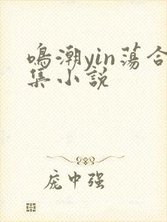 鸣潮yin荡合集小说