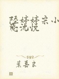 陆婷婷宋小易沈飞沈悦