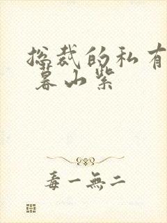 总裁的私有宝贝 暮山紫