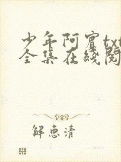 少年阿宾txt全集在线阅读