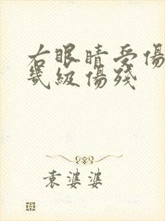 右眼睛受伤属于几级伤残封面