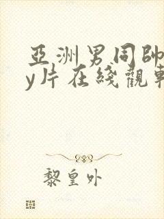 亚洲男同帅gay片在线观软件