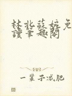 林北苏婉免费阅读笔趣阁