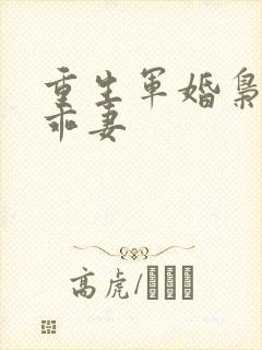 重生军婚枭宠不乖妻