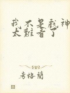 我不是戏神后面太难看了封面