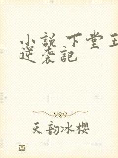 小说 下堂王妃逆袭记