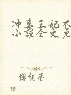 冲喜王妃不好惹小说全文免费阅读封面