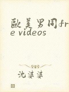 欧美男同free videos