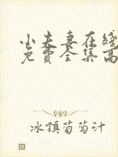 小夫妻在线观看免费全集高清完整